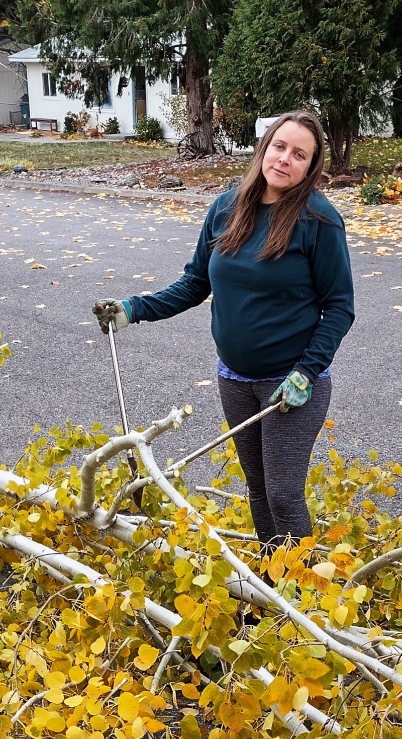 Anna working on a tree.
